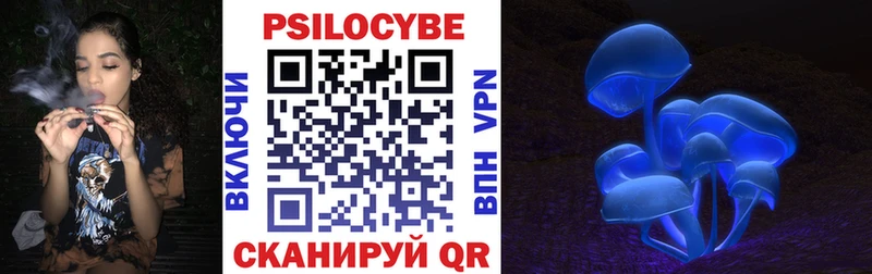Псилоцибиновые грибы мицелий  Купить  Тетюши 